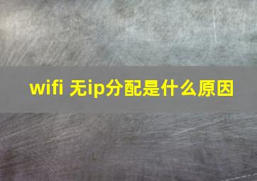 wifi 无ip分配是什么原因